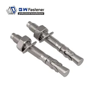 Concrete Wedge Bolt 1/4 3/8 1/2 5/8 3/4 Stainless Steel Throught Bolt Concrete Wedge Anchor Bolts SS304 SS316 Wedge Anchor