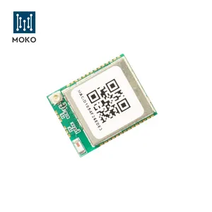 LoRa Module Nordic NRF52832 BLE And Semtech Sx1262 LoRa Built-in TCXO For Sensor OEM Supported