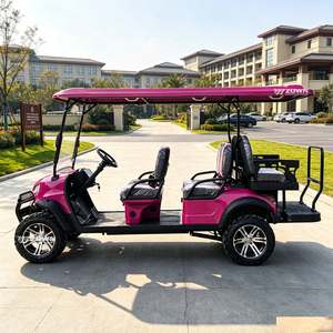 Voiturette de golf électrique avec batterie au lithium 48V, contrôleur et certification CE, vente directe d'usine - Product Image 1