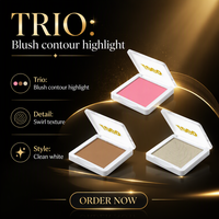 Nouvelle palette de maquillage pour le visage, teinte waterproof, blush, contour, label privé, meilleure qualité, bronzer scintillant, illuminateurs