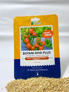 เมล็ดพันธุ์มะเขือเทศไฮบริด Botani Diva F1: ผลผลิตสูง อายุการเก็บรักษายาวนาน ผู้จัดจำหน่ายเมล็ดพันธุ์ - Product Image 2