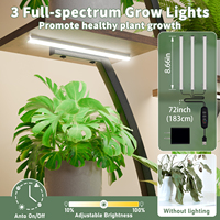Support à plantes LED en forme de cœur à 9 niveaux avec lumières de croissance à spectre complet, étagère de présentation robuste en bois et métal de 0,85 mm pour coin de salon