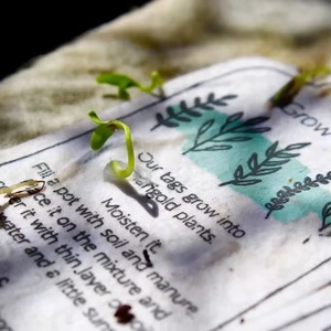 Papel de Semillas Ecológico Personalizado con Diseño de Ciervo del Bosque, Papel de Semillas A4 con Logotipo de Marca Propia - Product Image 4