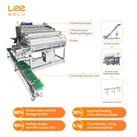 High-Speed Tomaat Weging & Box-Packing Systeem, Fruit Groente-Specifieke Weger, Verpakkingsmachine