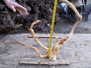 Groothandel Aquarium Geel Drijfhout Wortels - Product Image 3