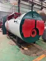Chaudière à eau chaude atmosphérique industrielle automatique horizontale à tubes de condensation ultra-basse émission de NOx, au fioul/gaz, 7,7 MW, 6 600 000 KCal