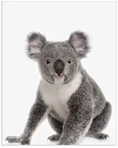 Animal de peluche realista de Koala, juguete de peluche suave de Koala grande, personalizado, Australia, venta al por mayor, para regalo