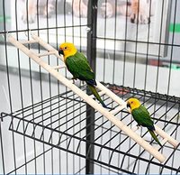 Escalera de madera para jaula de pájaros, juguete de escalera para loros, escalera colgante para mascotas, hámster