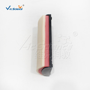 Módulo de entrenamiento para sutura de heridas en forma de arco, resistente a perforaciones y reutilizable, herramienta de enseñanza para el entrenamiento de habilidades de estudiantes de medicina. - Product Image 5