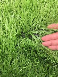 Césped Artificial de Alta Calidad para Canchas de Fútbol, Ecológico, Césped Sintético para Campos de Fútbol - Product Image 6