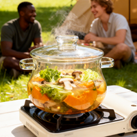 Casserole en verre borosilicate de haute qualité 2L / 67oz avec couvercle, compatible flamme nue, légère et portable pour le camping, les pique-niques et les camping-cars