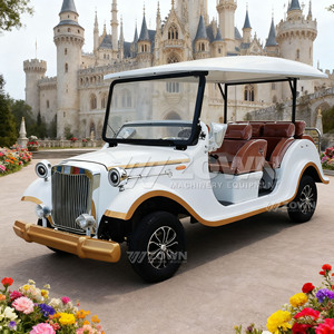 Electric White Vintage Classic Car Old Retro <b>Buggy</b> Antique Sightseeing Electric Vintage Classic Car for Adults Sale - Product Image 4