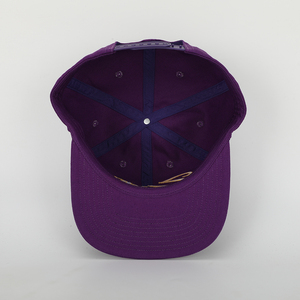 Bán Buôn 100% Cotton Đồng Bằng Thể Thao <span class=keywords><strong>Snapback</strong></span> Cap Chất Lượng Cao Tùy Chỉnh Thêu Hip Hop Hat Cho Nam Giới Và Phụ Nữ Trong Phong Cách Thời Trang - Product Image 5