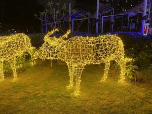 Holiday Decorative Animal <strong>Motif</strong> Rope Light LED Customized <strong>Tiger</strong> Rabbit Buffalo Light Festival - Product Image 6