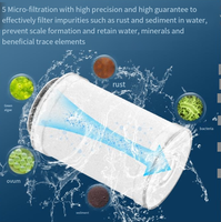 Filtre de douche universel à haut rendement en ABS écologique, finition chromée, fixation murale, accessoires de robinetterie de salle de bain