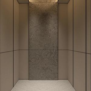 Ascensor Panorámico Comercial con Accionamiento de Tornillo para Uso en Oficinas y Residencias, para Hoteles, Villas y Aplicaciones al Aire Libre - Product Image 5