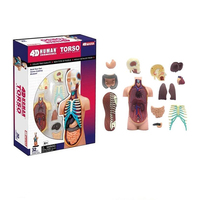Modelo de Torso humano 4D, rompecabezas maestro, juguete de ensamblaje de anatomía médica