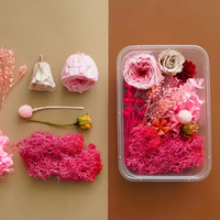 Bunga kering asli Aromaterapi dekorasi bunga kering kuning oranye musim gugur bahan DIY bunga kering alami untuk dekorasi bingkai foto seni Resin