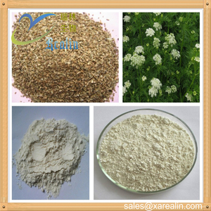 <span class=keywords><strong>Cnidium</strong></span> Lactone Nhà Sản Xuất Cung Cấp Số Lượng Lớn <span class=keywords><strong>Cnidium</strong></span> <span class=keywords><strong>Monnieri</strong></span> Chiết Xuất Osthole 98% - Product Image 5