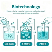 Additif en poudre de vitamines et de protéines de qualité alimentaire pour favoriser la prise de poids et la nutrition des poulets de chair et autres volailles