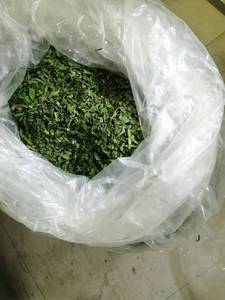 Dehydrated Chive Dried <strong>Spring</strong> <strong>Onion</strong> Spice Herbs Good Quality Cheaper Price - Product Image 4