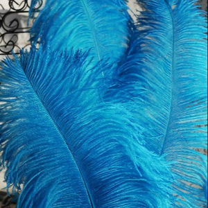Pièce maîtresse de décoration de fête en plumes d'autruche - Product Image 4