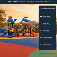 Supports stabilisés pour équipements de jeux extérieurs SageDelightRides ODM en LLDPE et acier galvanisé pour campus et places publiques OEM