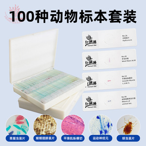 100 types de préparations biologiques, dont des spécimens zoologiques clairs pour microscope. - Product Image 3