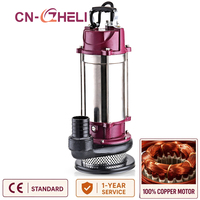 Bomba Sumergible de Acero Inoxidable 240V 0.37 HP Monofásica para Pozo Abierto y Agua Limpia, 0.5 HP para Perforaciones
