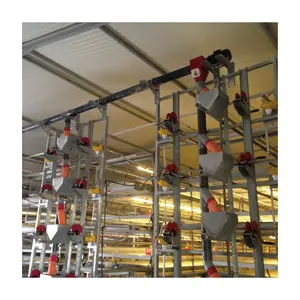 Broiler Farming Equipment Poultry Feeding Line System With Automatic Feeders And Drinkers