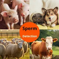 Microscope numérique professionnel haute puissance pour analyseur de sperme animal nouvelle visualisation chauffage à température constante 1 an de garantie