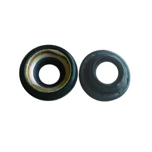 Auto compressor oil seal/leap seal/seal parts For GM V5 V7 RC.300.101