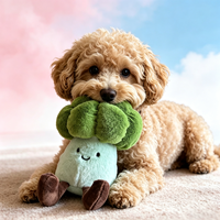 Jouet en peluche pour animaux de compagnie en forme de chou-fleur, jouet à mâcher couineur pour chiens de petite et moyenne taille, résistant aux morsures, soulage l'ennui, fournitures pour animaux de compagnie