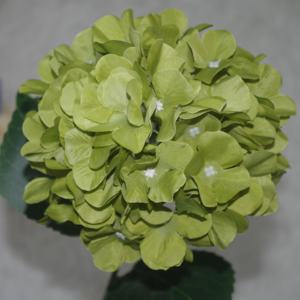Vente chaude coloré haute qualité hortensia fleur artificielle pour la maison garden party décoration de mariage hortensia fleurs - Product Image 3