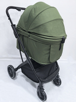 Poussette pliable automatique en aluminium pour chien, OEM & ODM, élégante et personnalisable, chariot double pour chat et chien de taille moyenne avec fonction lavable et durable à gravité.