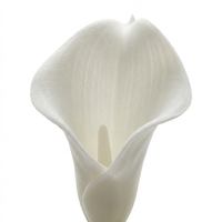 Fleurs de lys Calla au toucher réel, longues tiges en mousse EVA, décoration de table à manger, style minimaliste, mariage, Saint-Valentin, durable