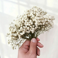 Fleurs séchées préservées Gypsophila (Souffle de bébé) à tiges courtes, plusieurs couleurs, pour bijoux en résine, invitations, cadeaux et décoration - Vente chaude