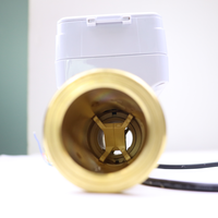 Compteur d'eau intelligent DN25 LoRaWAN à ultrasons, Modbus RS485, débitmètre numérique à lecture à distance, 4G, Lora, impulsion optionnelle, laiton, IP68