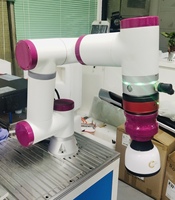Robot de Escritorio para Desbarbado, Cobot para Fabricación, Precio de Robot Colaborativo con Carga Útil de 5 kg y 992 mm de Alcance, para Pulido y Rectificado