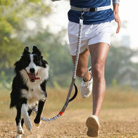 Laisse de course mains libres de luxe personnalisée pour chien et chat, en nylon, avec ceinture ajustable, double poignée, élastiques et corde rétractable