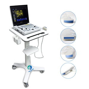 Máquina <span class=keywords><strong>de</strong></span> <span class=keywords><strong>Ultrasonido</strong></span> Médica Portátil <span class=keywords><strong>de</strong></span> Bajo <span class=keywords><strong>Precio</strong></span>, Imágenes en Blanco y Negro, Sonda Dual Convexa Lineal, Uso Veterinario y Humano - Product Image 4