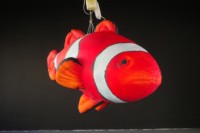 Publicité promotionnelle : Modèles gonflables de poissons tropicaux, avec une ambiance océanique et des accessoires décoratifs spécifiques au thème.