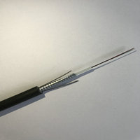 Câble à fibre optique blindé GYXTW extérieur à tube central lâche, prix usine, SM 12F, anti-rongeurs, adapté aux environnements difficiles.