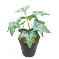 Plante artificielle de lierre en pot, 7 feuilles variées, 28 cm de haut, simulation de bonsaï