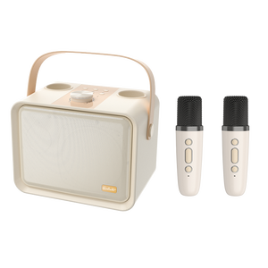 Lecteur de karaoké Bluetooth audio QM1 OEM ODM LOGO, amplificateur sans fil, haut-parleur portable d'extérieur avec microphone - Product Image 1