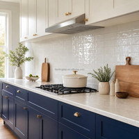 Meubles de cuisine modernes, armoires modulaires en MDF laqué, meubles de cuisine sur mesure, vente en gros directe d'usine
