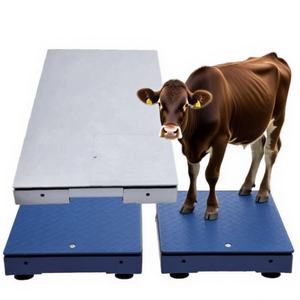 맞춤형 PS 초박형 산업용 더블 데크 플랫폼 LED 디스플레이 플랫폼 방수 부식 방지 계량 저울 - Product Image 3