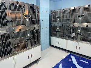 Jaula para UCI de acero inoxidable 304, fuente de alimentación veterinaria, jaula personalizable para cámara de oxígeno con calefacción infrarroja - Product Image 3