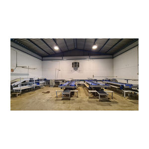 1 línea automática para máquina clasificadora de frutas profesional de aguacate línea de clasificación de frutas usada en Nueva Zelanda para la venta - Product Image 1