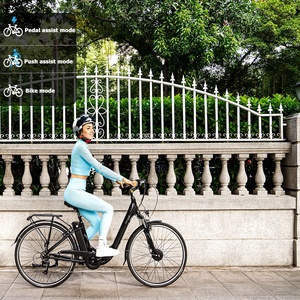 36V 250W Electric Beach Cruiser Bike 7-Gang-Gabelfahrrad aus Aluminium legierung für Erwachsene und Familien - Product Image 5